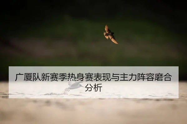 广厦队新赛季热身赛表现与主力阵容磨合分析