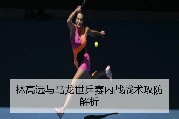 林高远与马龙世乒赛内战战术攻防解析